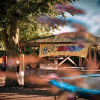 Flower Power 2022 - Photos - Acanthus