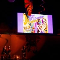 Flower Power 2022 - Photos - Acanthus