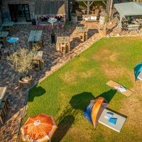 Flower Power 2022 - Photos - Acanthus