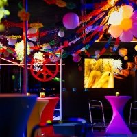 Flower Power 2022 - Photos - Acanthus