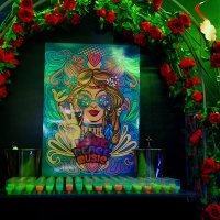 Flower Power 2022 - Photos - Acanthus