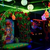 Flower Power 2022 - Photos - Acanthus