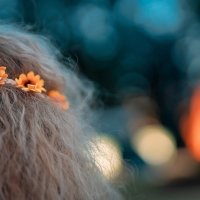 Flower Power 2022 - Photos - Acanthus