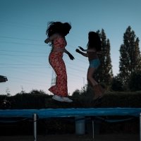 Flower Power 2022 - Photos - Acanthus