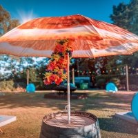 Flower Power 2022 - Photos - Acanthus