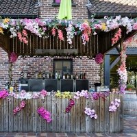 Flower Power 2022 - Photos - Acanthus