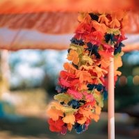 Flower Power 2022 - Photos - Acanthus