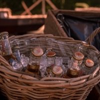 Western 2022 - Photos - Acanthus