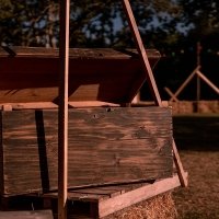Western 2022 - Photos - Acanthus