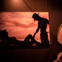 Western 2022 - Photos - Acanthus