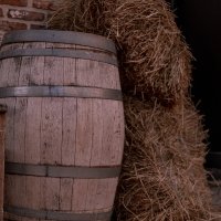 Western 2022 - Photos - Acanthus