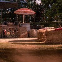 Western 2022 - Photos - Acanthus