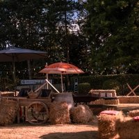 Western 2022 - Photos - Acanthus