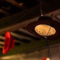 Western 2022 - Photos - Acanthus