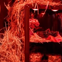 Western 2022 - Photos - Acanthus