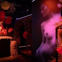 Western 2022 - Photos - Acanthus