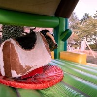 Western 2022 - Photos - Acanthus