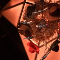 Western 2022 - Photos - Acanthus