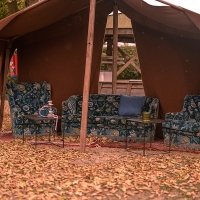 1001 Nights 2022 - Photos - Acanthus