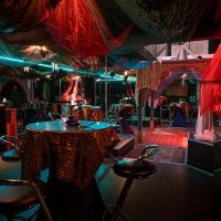 1001 Nights 2022 - Photos - Acanthus