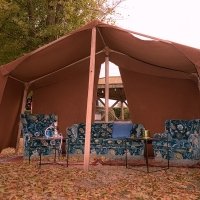 1001 Nights 2022 - Photos - Acanthus
