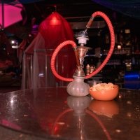 1001 Nights 2022 - Photos - Acanthus