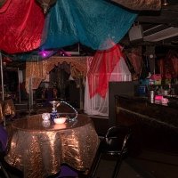 1001 Nights 2022 - Photos - Acanthus