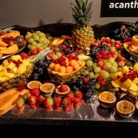 Acbd 29y 2022 - Photos - Acanthus