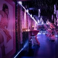 Pin Up 2022 - Photos - Acanthus