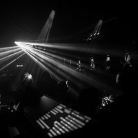 Black 2022 - Photos - Acanthus