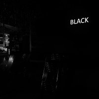 Black 2022 - Photos - Acanthus