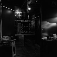 Black 2022 - Photos - Acanthus