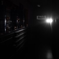Black 2022 - Photos - Acanthus