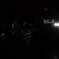 Black 2022 - Photos - Acanthus
