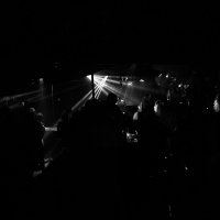 Black 2022 - Photos - Acanthus