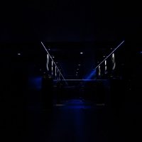 Black 2022 - Photos - Acanthus