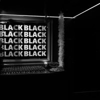 Black 2022 - Photos - Acanthus