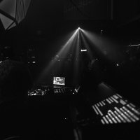 Black 2022 - Photos - Acanthus
