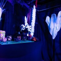 Halloween 2022 - Photos - Acanthus
