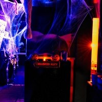 Halloween 2022 - Photos - Acanthus