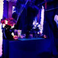 Halloween 2022 - Photos - Acanthus