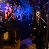 Halloween 2022 - Photos - Acanthus