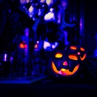 Halloween 2022 - Photos - Acanthus