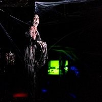Halloween 2022 - Photos - Acanthus