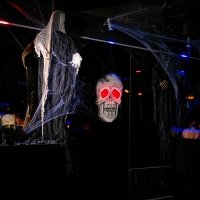 Halloween 2022 - Photos - Acanthus