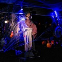 Halloween 2022 - Photos - Acanthus