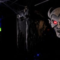 Halloween 2022 - Photos - Acanthus