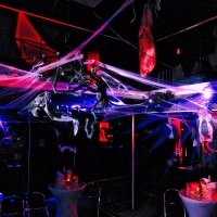 Halloween 2022 - Photos - Acanthus