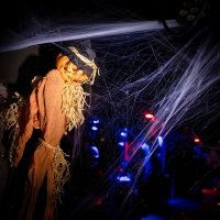 Halloween 2022 - Photos - Acanthus
