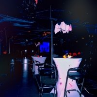 Halloween 2022 - Photos - Acanthus
